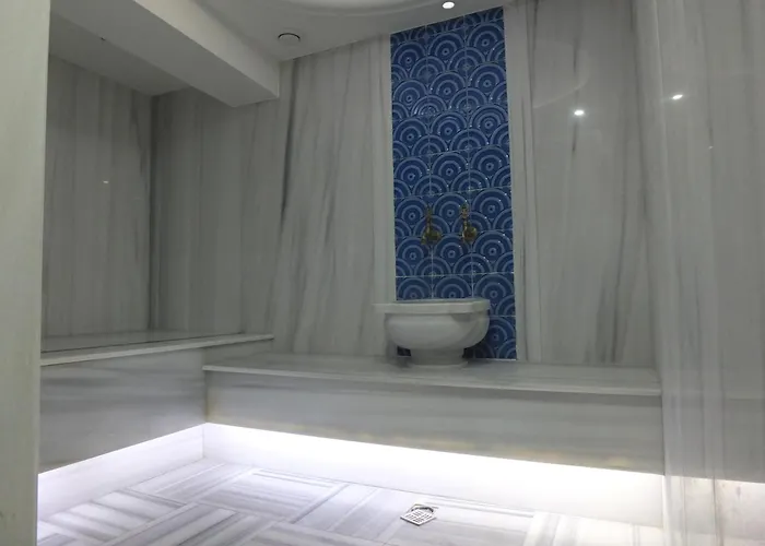 Clove Silvana Hotel *