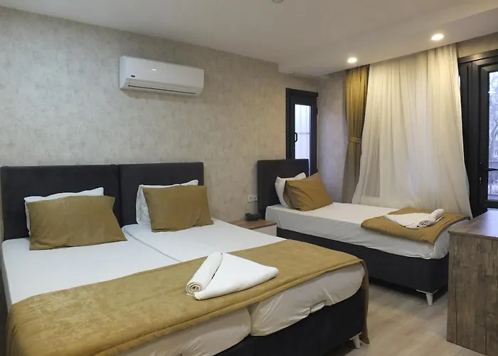 Hotel Clove Silvana *